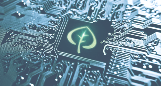 illustration of a PCB with tree graphic on it